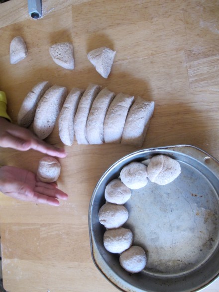 Once the dough has risen, punch it a knead it a tad more.  Cut it into 14 even pieces and roll them into balls (don't stress that your chid's balls aren't perfectly round, they will all rise and taste the same-- even if it is a little funny looking ;o). Place them in a round, buttered) cake pan, cover and leave them to rise until they have risen over the rim of the pan.