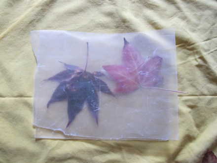 Sandwich the leaves with a second sheet of wax paper (don't worry, you'll trim after your work is cooled).
