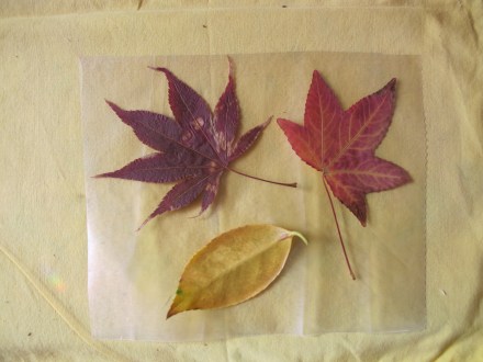 Sandwich the leaves the same way as you would using wax paper but press the leaves and stems firmly to the position that you want it to be in before you apply the top layer.