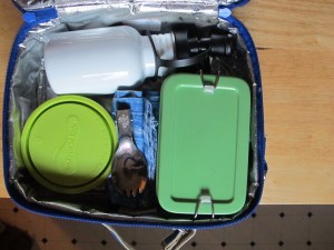 Zero Waste, right down to the cloth napkin. Spork is from Life Without Plastics.com, 