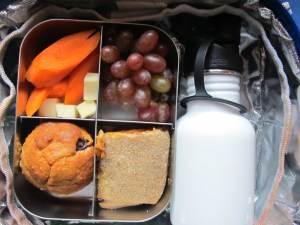 Mini Millet muffins (I'll post recipe in a different post), raw sliced carrots, grapes, homemade pizza pockets using your favorite homemade/ store bought pizza  dough.